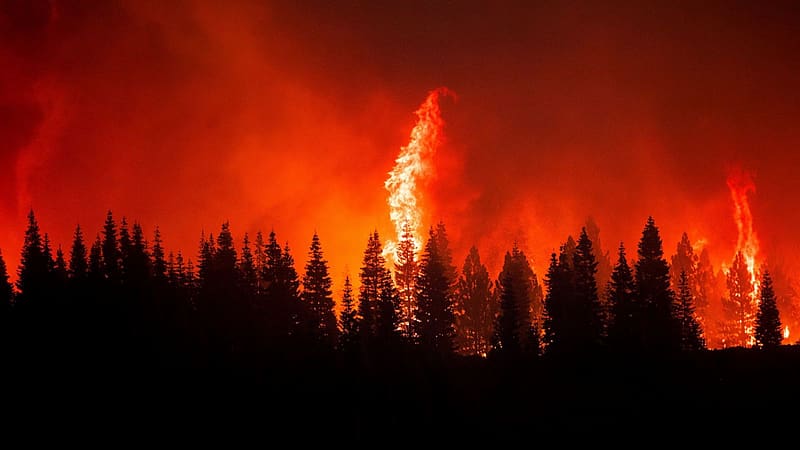 Record wildfire burns amid drought on Hawaii's Big Island, HD wallpaper