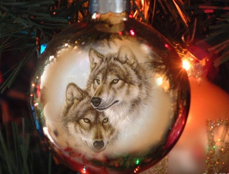 Christmas Wolf, wolf ornamant, wolf, christmas bulb, christmas ornament, HD wallpaper