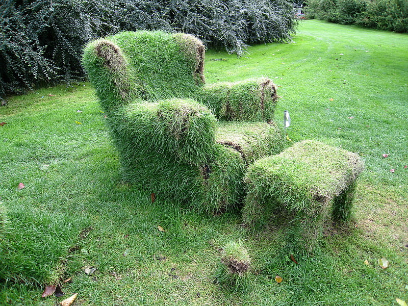 The Green Chair, chair, shrubbery, green, grass, HD wallpaper