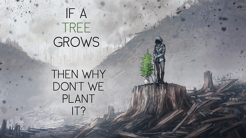 If A Tree Grows Then Why Do Not We Plant It Inspirational, HD wallpaper