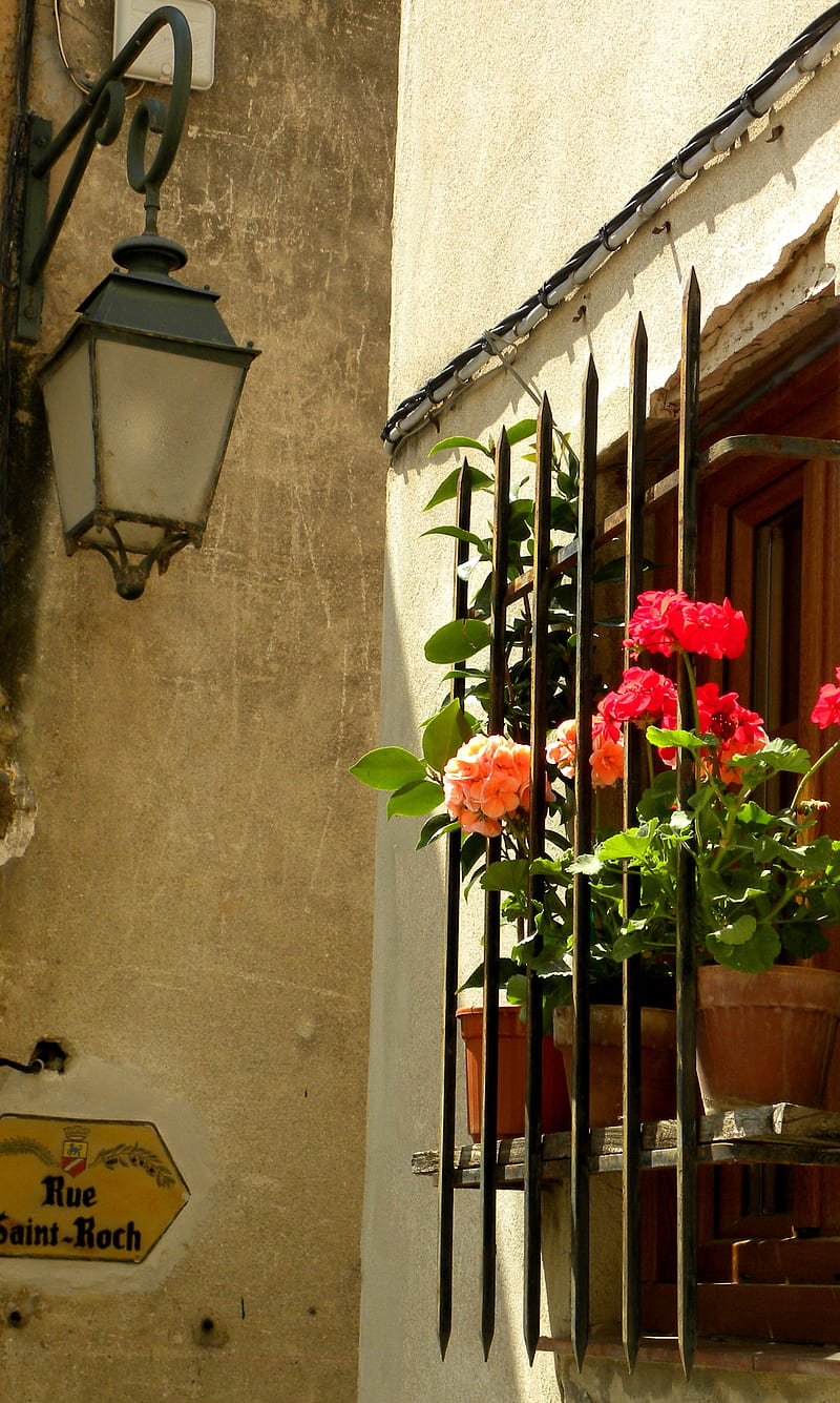 Window in France, europe, flowers, french, lantern, village, HD phone wallpaper