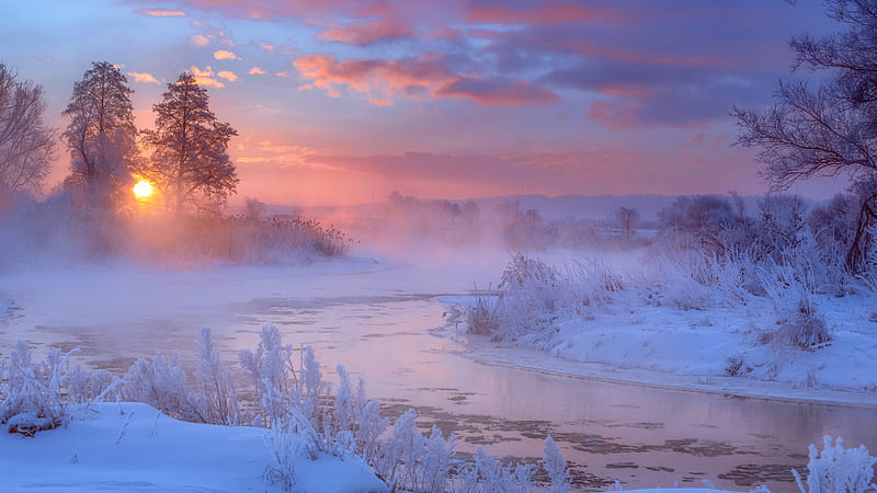 River Between Frozen Plants And Trees During Sunrise Nature, HD wallpaper