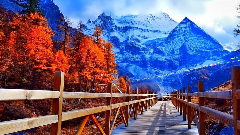 Autumn Wooden Bridge, autumn, aspen, mountains, path, nature, trees, wooden, HD wallpaper