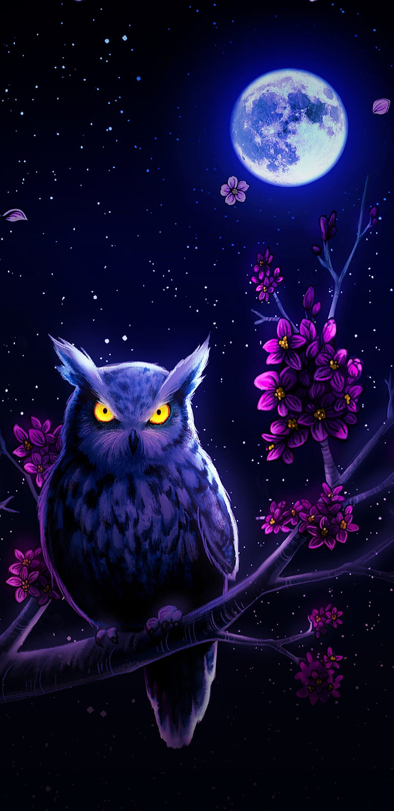 Majestic Owl, cherry blossom, night, HD phone wallpaper