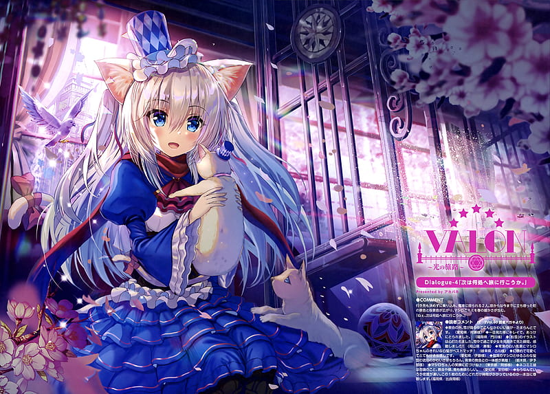 anime cat girl, animal ears, loli, blue dress, cute, Anime, HD wallpaper