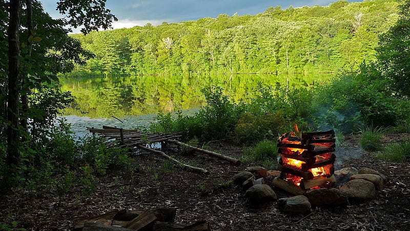 Campfire on the Lakeside, forest, fire, camp, nature, trees, lake, HD wallpaper