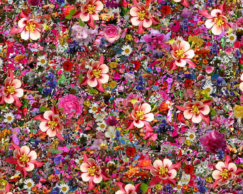 Flowers Everywhere!, mixture, flowers, collage, HD wallpaper