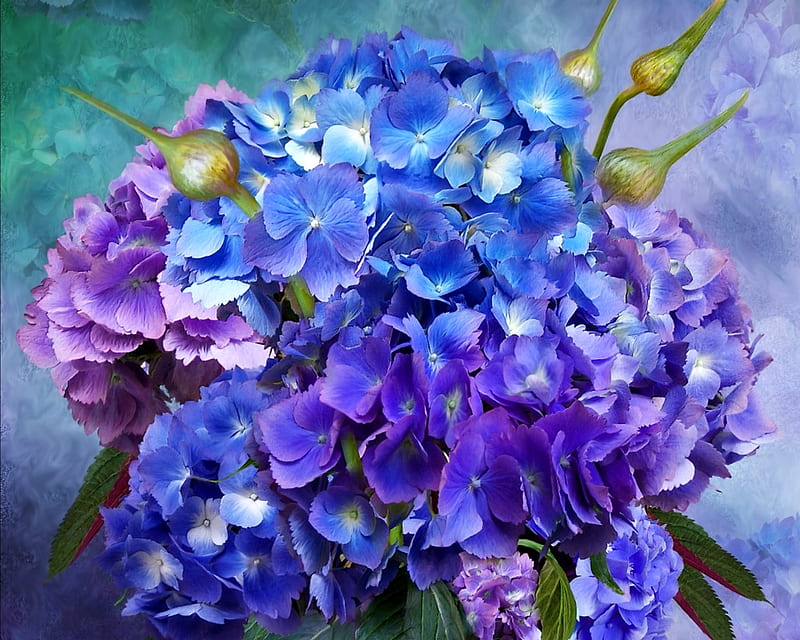 Ramo de hortensias, art, hortensia, carol cavalaris, púrpura, ramo, pintura,  Fondo de pantalla HD | Peakpx