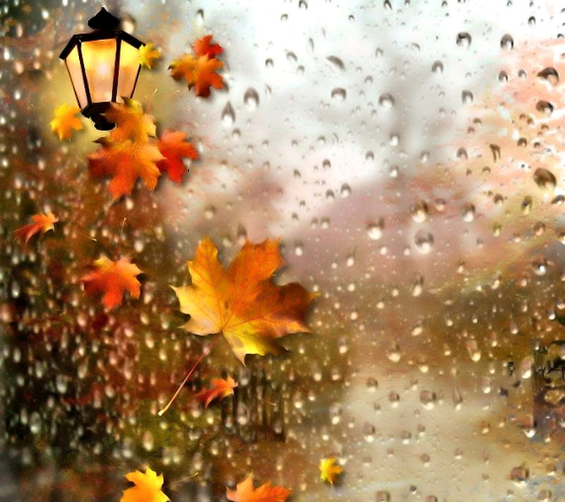 Rainy Autumn, HD wallpaper