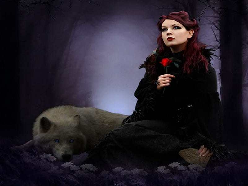 Last red Rose, red, rose, flower, wolf, woman, HD wallpaper | Peakpx