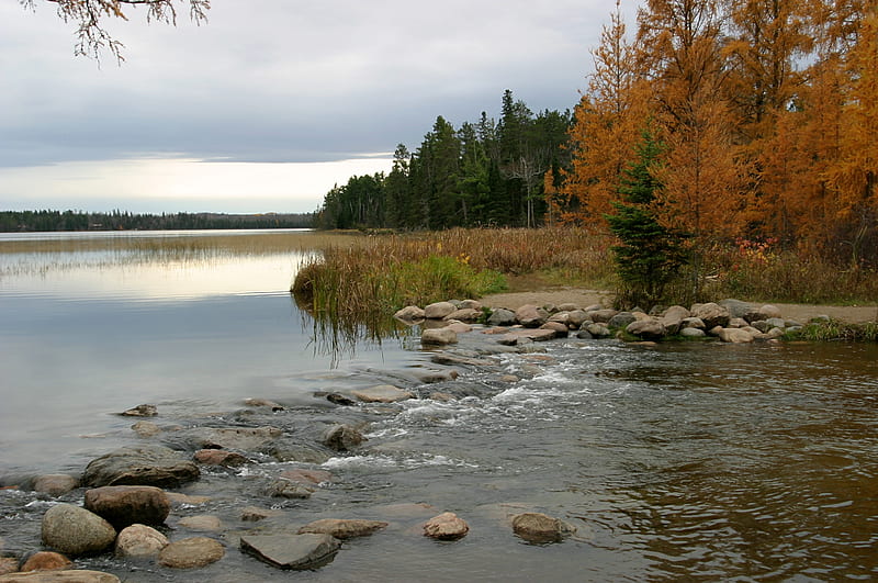 Mississippi River at Itasca, USA, Mississippi River, Headwaters, Itasca State Park, HD wallpaper