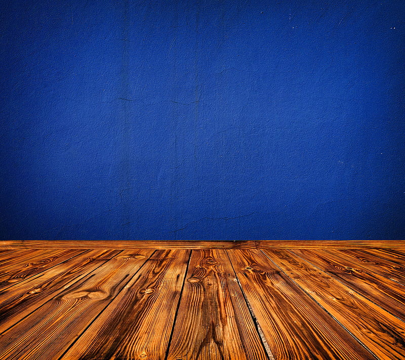 Cobalt Wall, blue, cobalt, floor, hardwood, room, wall, HD wallpaper