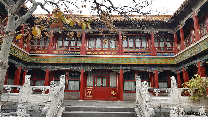 Inside the Forbidden City Beijing, China, China, Structure, Beijing, Forbidden, Palace, Tree, City, HD wallpaper