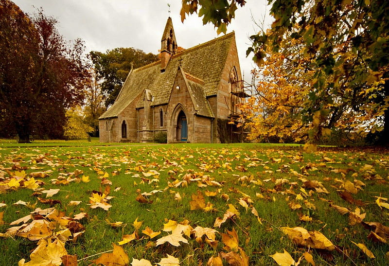 Church in fall, fall, pretty, colorful, autumn, house, cottage, falling, cabin, bonito, foliage, countryside, europe, leaves, nice, calm, village, forest, lovely, england, colors, church, trees, peacefu, nature, branches, meadow, field, HD wallpaper