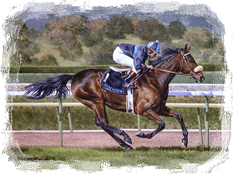 John Henry - Horse F5, art, thoroughbred, picavet, equine, horse, christine picavet, artwork, race horse, painting, thorobred, HD wallpaper