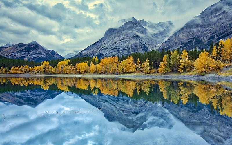 mountains, autumn, mountain lake, forest, yellow trees, fog, rainy weather, USA, HD wallpaper