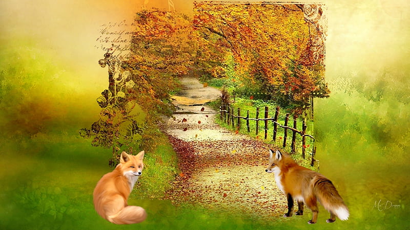 Fall Collage #19, fence, forest, fall, autumn, leaves, fox, lane, collage, HD wallpaper