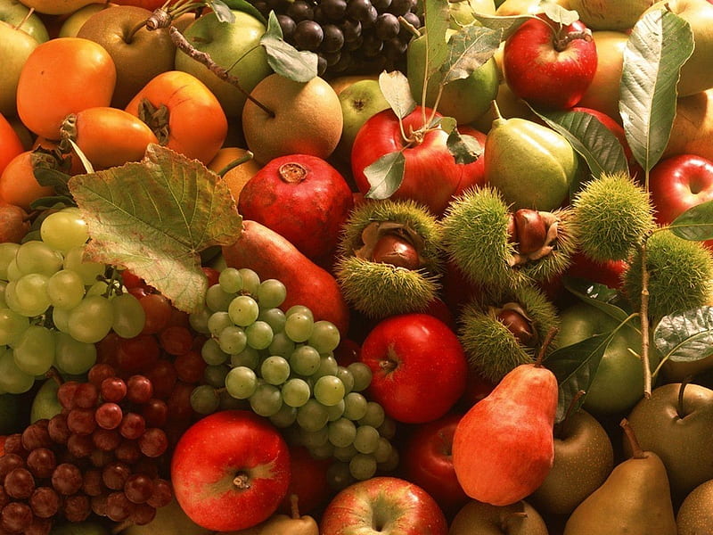 Fruit & nuts, chestnuts, red, food, orange, apples, persimmons, oranges, grapes, fruit, pears, graphy, gooseberries, HD wallpaper