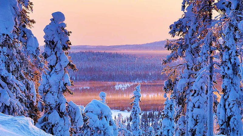 Deep Snow, river, sunset, reflection, trees, firs, landscape, HD wallpaper