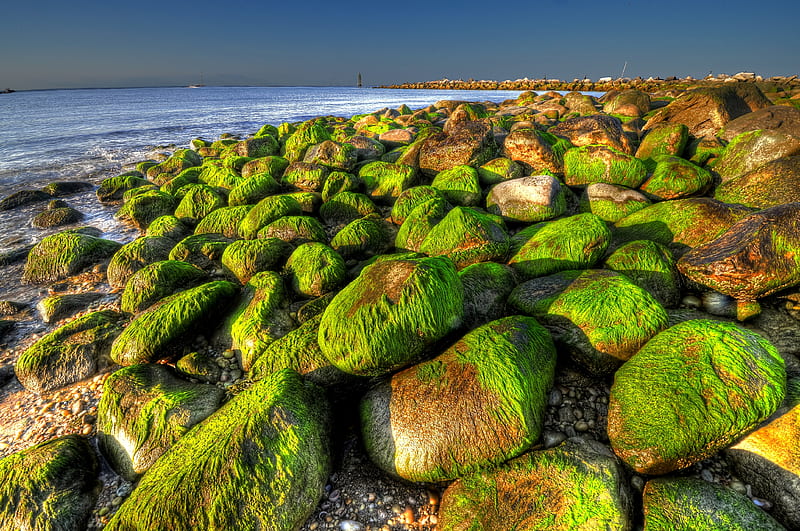 Beach-R, ocean, bonito, sky, sea, beach, graphy, stones, nice, sand, cool, water, green, nature, r, seaweed, HD wallpaper