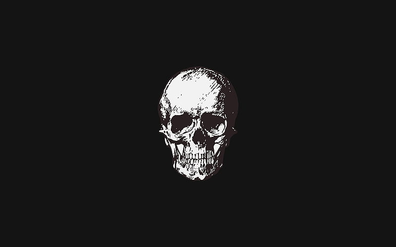 white skull minimal, creative, artwork, scary skull, background with skull, black backgrounds, skull, HD wallpaper