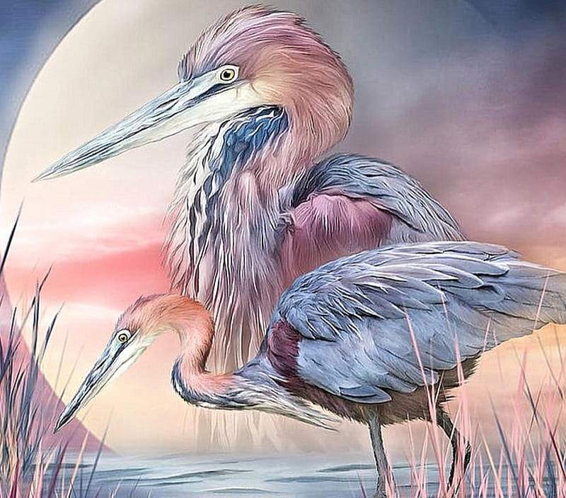 Spirit of the Heron | Carol Cavalaris, spirit, pretty, Bird, Heron, HD wallpaper