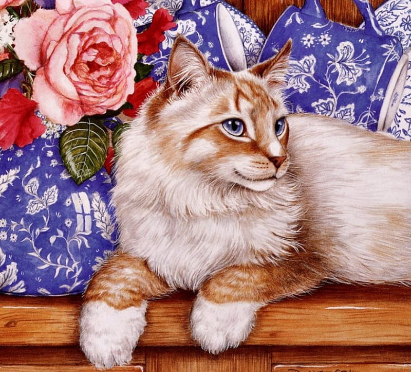 Cozy Place, blossom, rose, resting, chair, cat, artwork, HD wallpaper