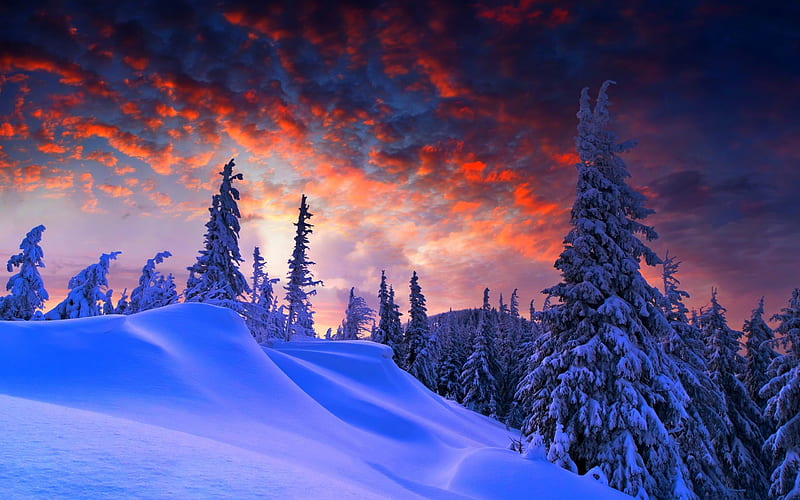 beautiful winter scenery wallpapers