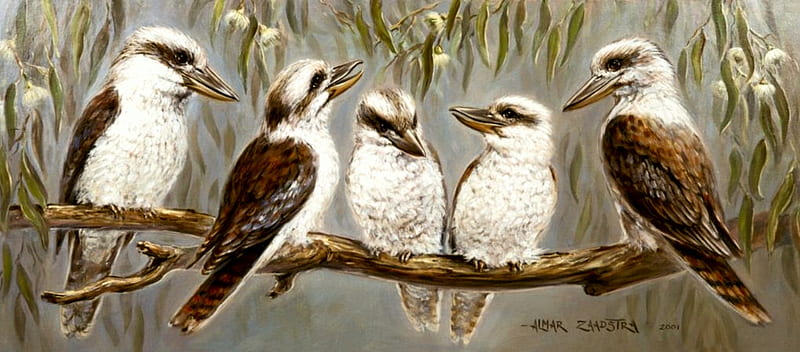 Morning Talk, painting, birds, resting, funny, artwork, HD wallpaper