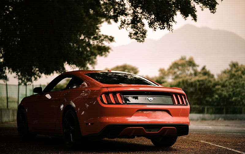 ford mustang, ford, car, red, rear view, parking, HD wallpaper