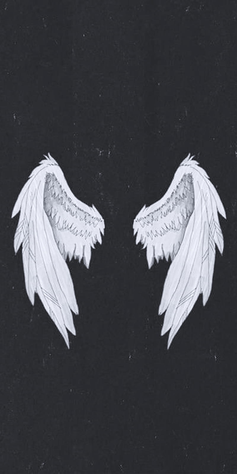 Wings, angel, black, fly, white, HD phone wallpaper