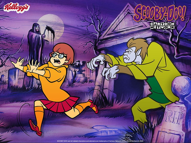 Scooby-Doo, Velma, mystery-machine, cartoon-network, velma, scooby-doo, HD  wallpaper | Peakpx