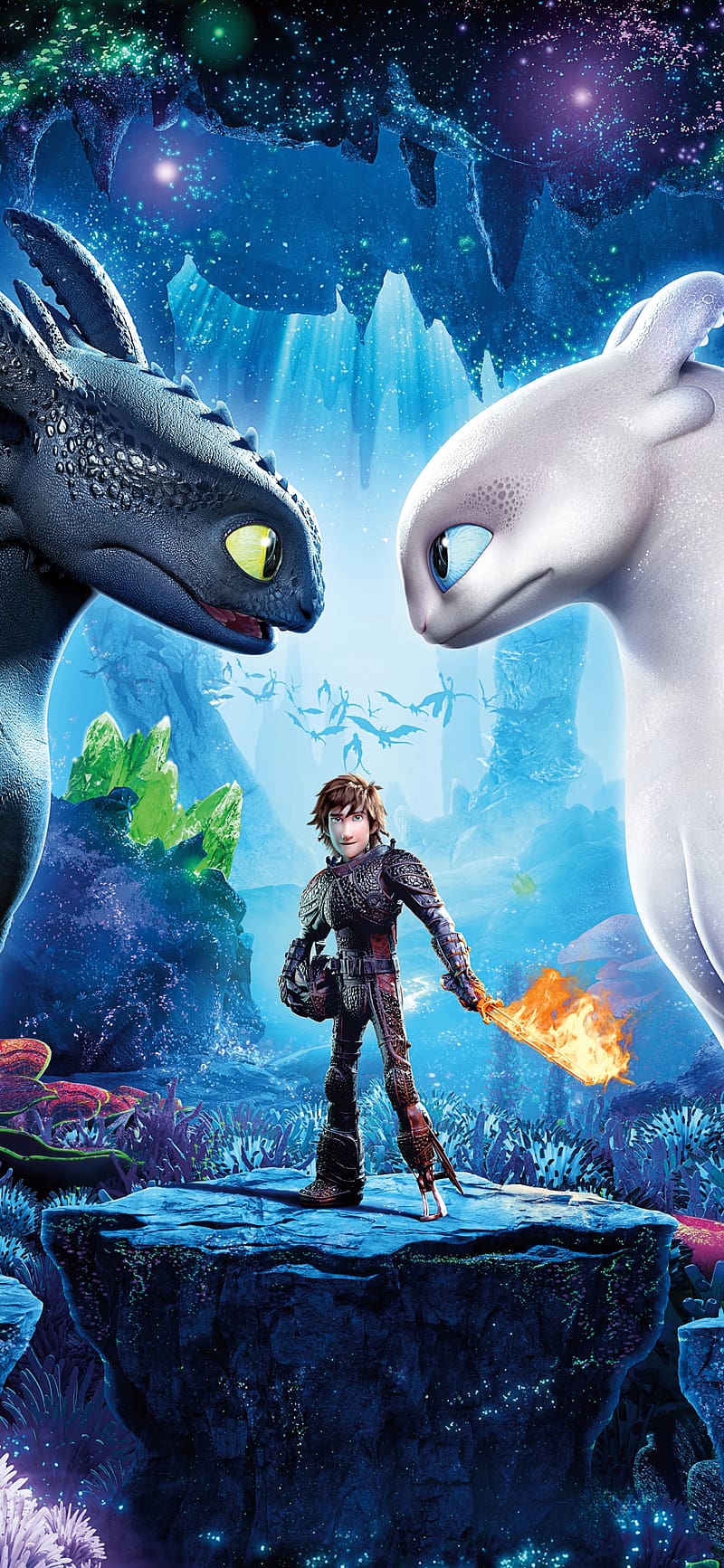 Movie, Toothless (How To Train Your Dragon), Hiccup (How To Train Your Dragon), How To Train Your Dragon, How To Train Your Dragon: The Hidden World, White Night Fury, HD phone wallpaper