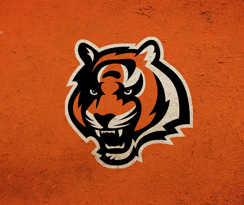 Cincinnati Bengals, emblem, football, orange, team, tiger, HD wallpaper
