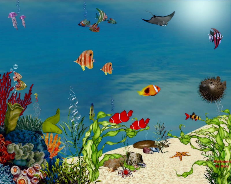Busy Ocean 1280x1024, underwater, marinelife, fish, aquarium, HD wallpaper