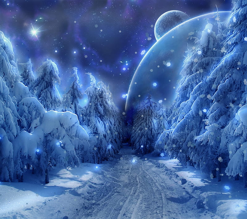 Magic Winter, night, snow, HD wallpaper