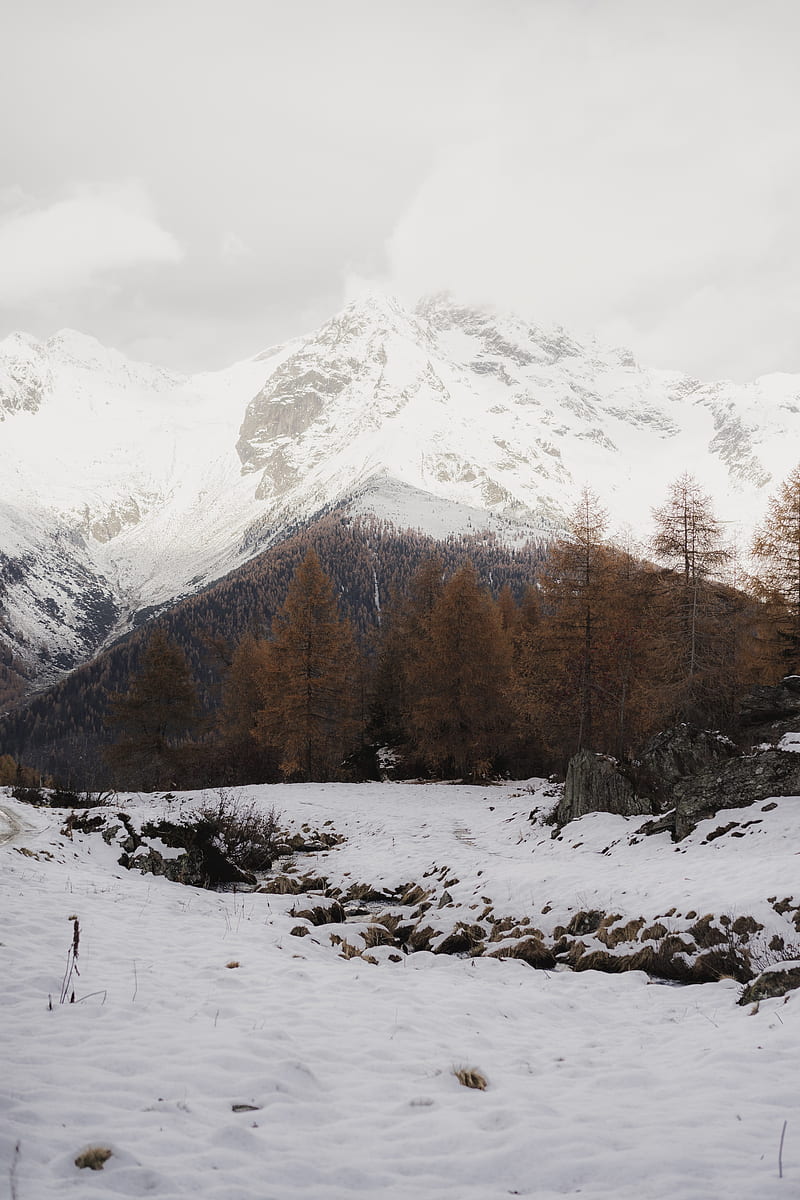mountain, snow, trees, winter, landscape, snowy, HD phone wallpaper