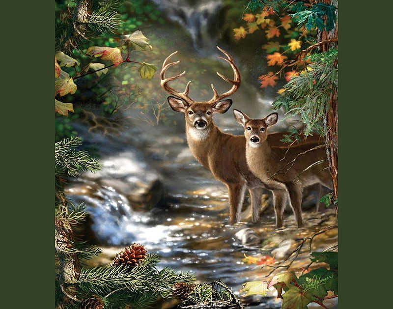 HD deer oh deer wallpapers | Peakpx