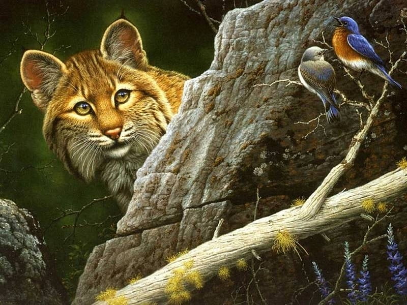 Wild cat and birds, art, bird, painting, abraham hunter, pasari, pictura, pisici, wild cat, HD wallpaper