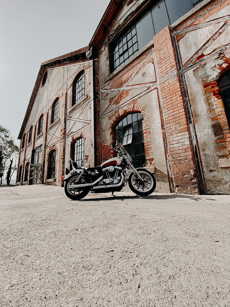 harley davidson, motorcycle, bike, black, building, HD phone wallpaper