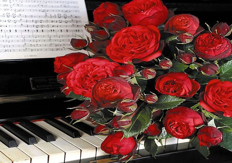 Roses waltz, red, colorful, music, roses, buds, piano, still life, walts, bouquet, flowers, nature, petals, flowering, HD wallpaper