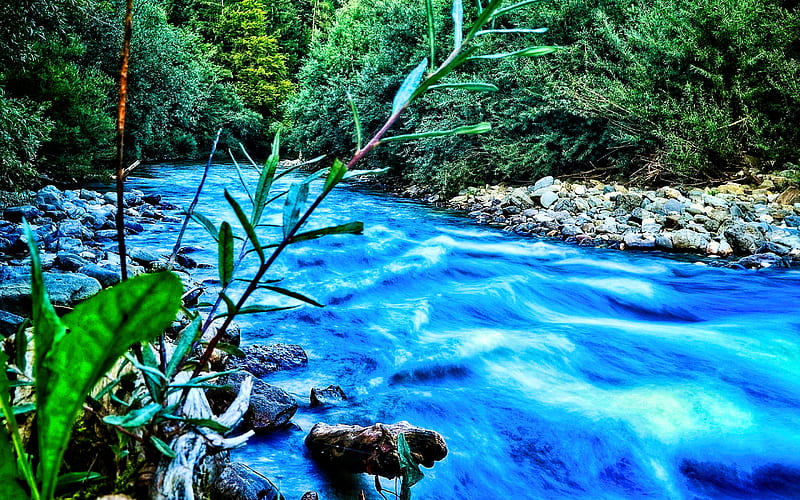 blue river, forest, summer, R, beautiful nature, mountain river, fast flow, HD wallpaper