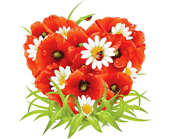 Những bông poppi daisy là biểu tượng của tình yêu và sự tươi trẻ. Hãy xem ảnh những bông hoa này và cảm nhận sự tươi vui và yêu đời của chúng.
