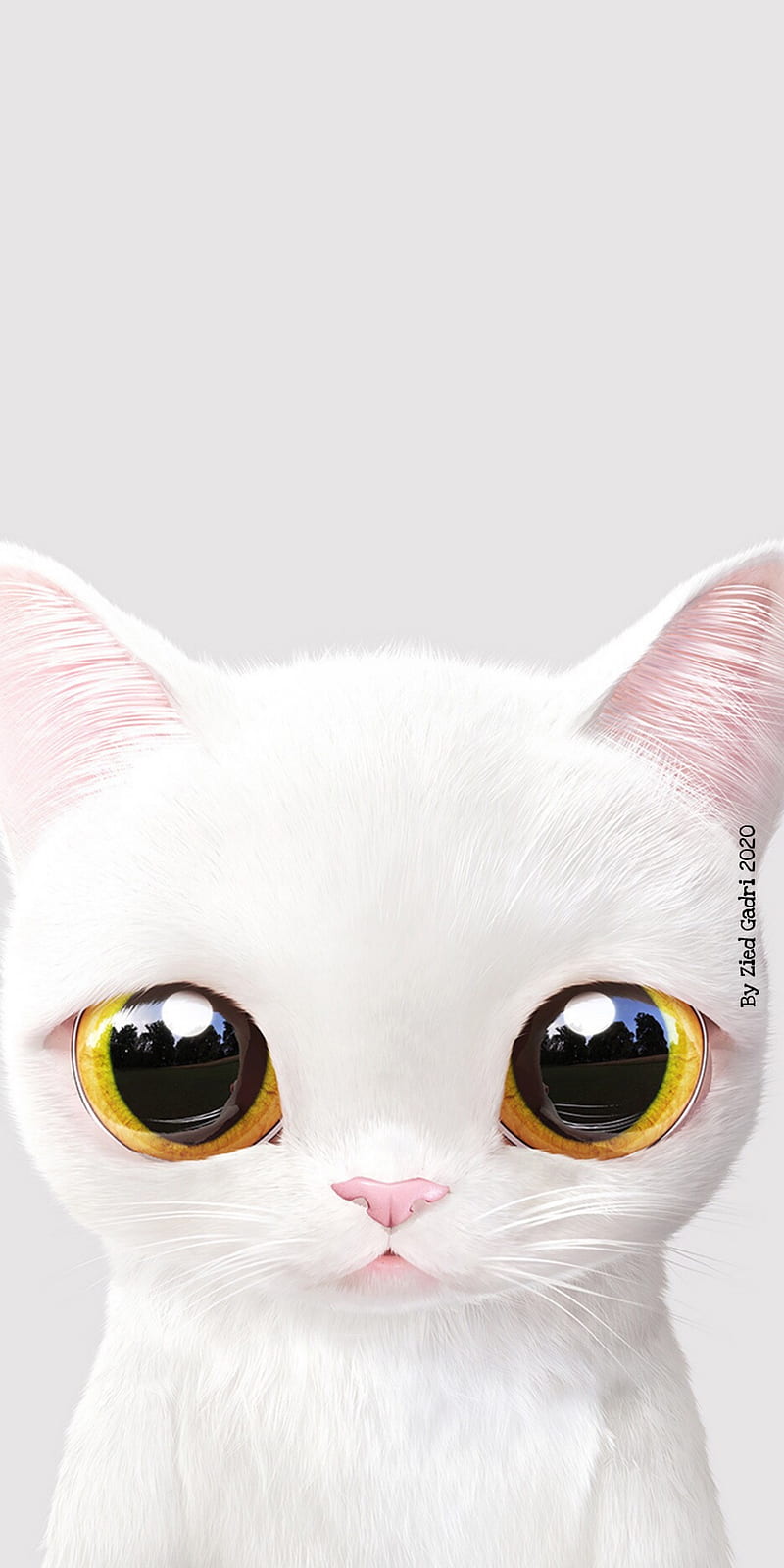 Gato blanco, gatos, lindo, gatito, miau, Fondo de pantalla de teléfono HD |  Peakpx