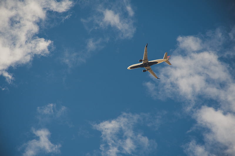 Worms Eye View of Airplane Flying on Sky, HD wallpaper