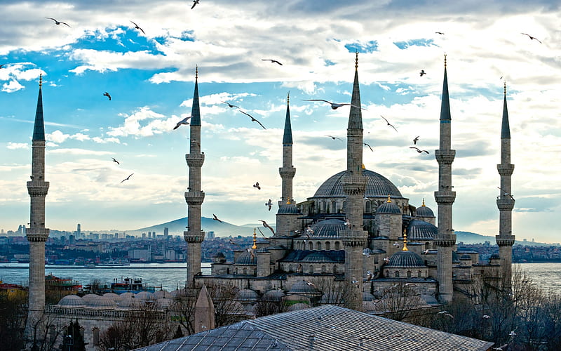 Turkey Istanbul, city, turkey, burd sky, istanbul, hagia sofia, white, blue, HD wallpaper