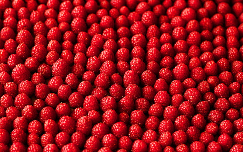 raspberries texture ripe raspberries, berries, food textures, fruits textures, raspberries, fresh fruits, berries textures, background with raspberries, HD wallpaper
