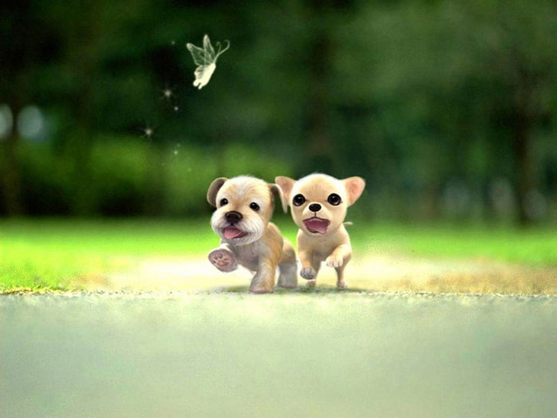 little puppies wallpaper