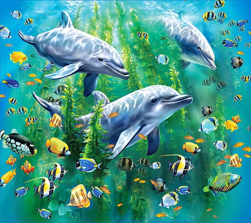 Underwater Delfine, HD wallpaper | Peakpx