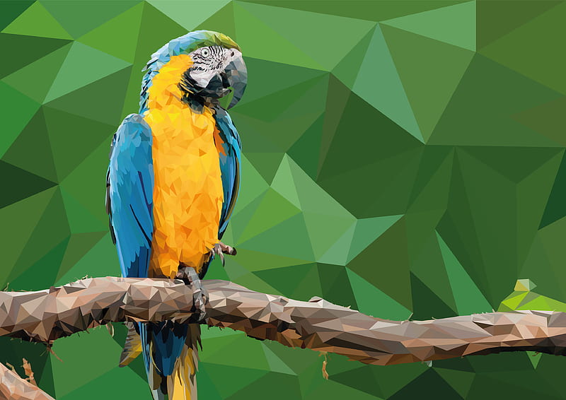 Macaw Low Poly Digital Art, parrot, macaw, birds, artist, artwork, digital-art, behance, HD wallpaper